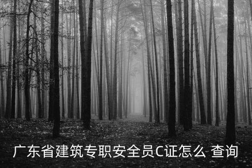 廣東省建筑專職安全員C證怎么 查詢