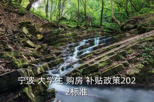 大學(xué)生購房補(bǔ)貼