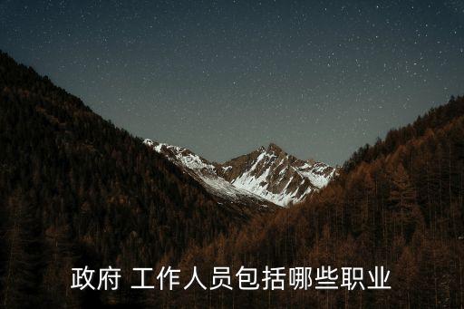 政府 工作人員包括哪些職業(yè)