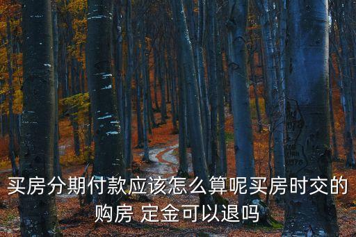 買房分期付款應該怎么算呢買房時交的購房 定金可以退嗎