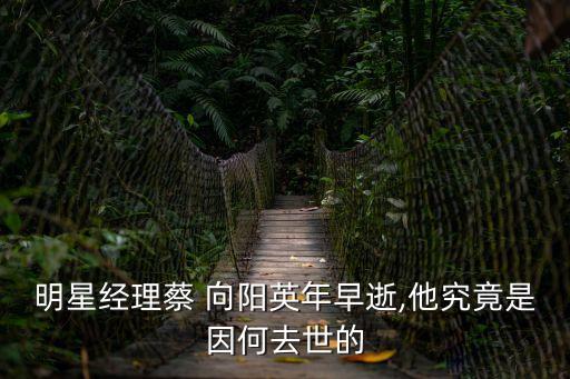 蔡向陽