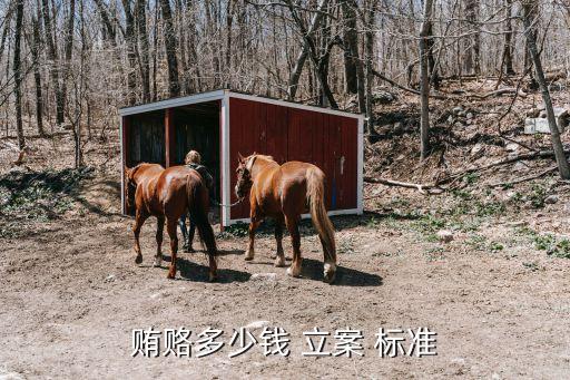 行賄罪的立案標(biāo)準(zhǔn),2022年收賄賂多少錢立案標(biāo)準(zhǔn)