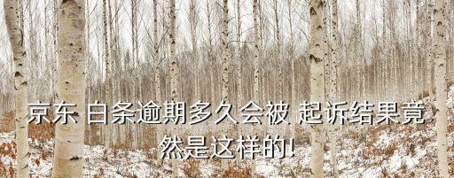 京東 白條逾期多久會(huì)被 起訴結(jié)果竟然是這樣的!