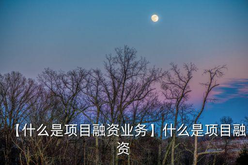 【什么是項目融資業(yè)務(wù)】什么是項目融資