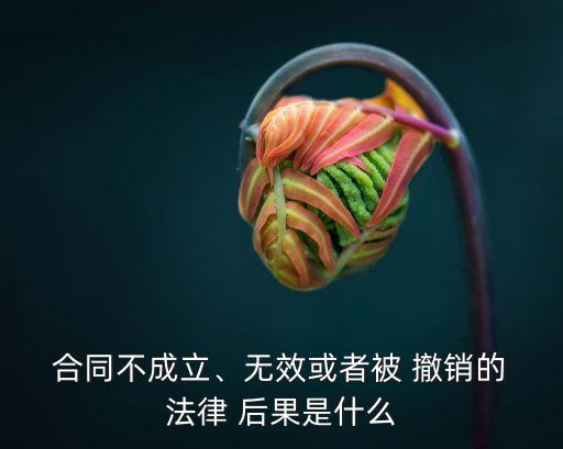 合同不成立、無(wú)效或者被 撤銷的 法律 后果是什么
