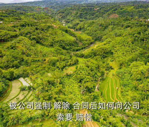 被公司強(qiáng)制 解除 合同后如何向公司索要 賠償