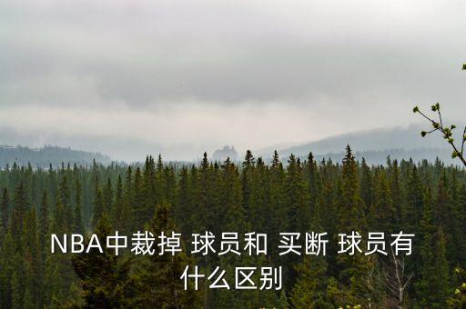 買斷球員是什么意思,nba買斷一個球員是什么意思