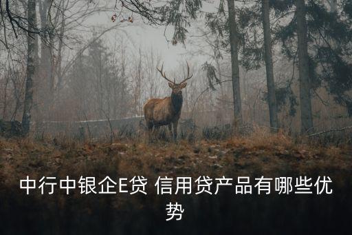 中行中銀企E貸 信用貸產(chǎn)品有哪些優(yōu)勢(shì)
