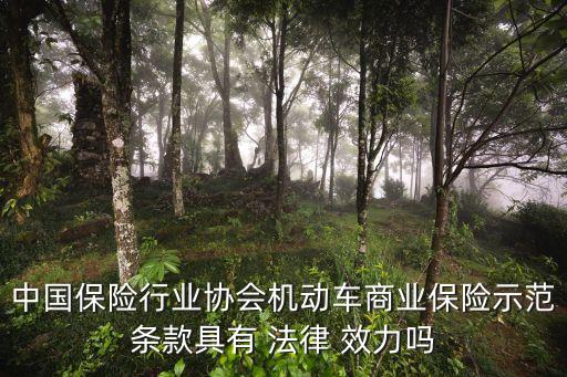 中國保險行業(yè)協(xié)會機動車商業(yè)保險示范條款具有 法律 效力嗎