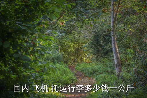 國內 飛機 托運行李多少錢一公斤