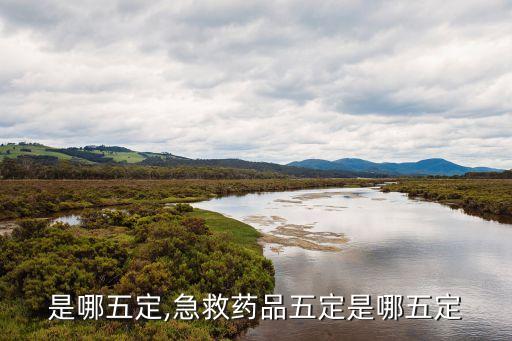 五定是哪五定,急救藥品五定是哪五定