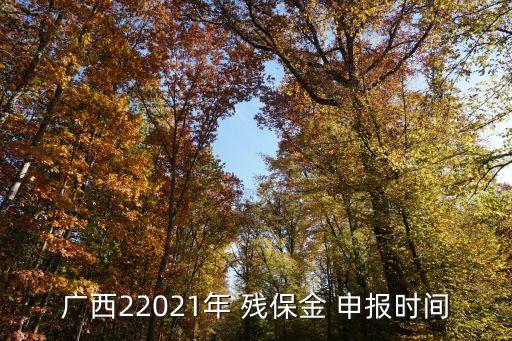 殘保金申報(bào)時(shí)間,2022年殘保金申報(bào)時(shí)間