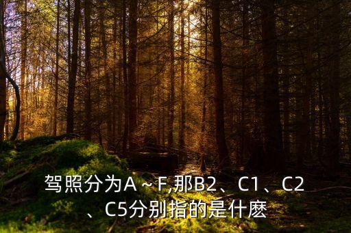 駕照分為A～F,那B2、C1、C2、C5分別指的是什麼