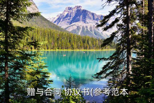贈與協(xié)議