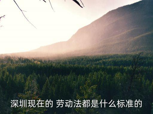 深圳市勞動條例,勞動法律監(jiān)督條例
