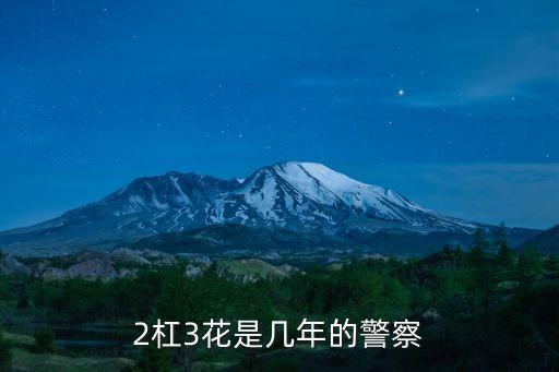 兩杠三花,警銜級(jí)別兩杠三花
