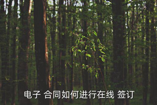  電子 合同如何進(jìn)行在線 簽訂