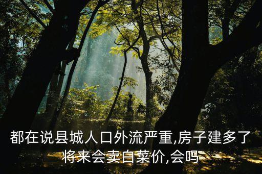 都在說縣城人口外流嚴重,房子建多了將來會賣白菜價,會嗎