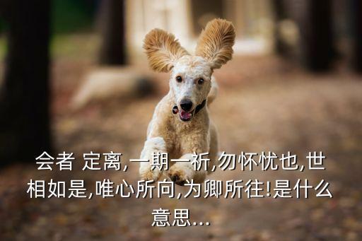 定離,定密責(zé)任人包括哪些人