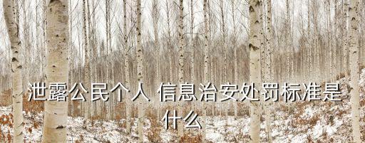 個(gè)人信息泄露的法律責(zé)任是什么,泄露個(gè)人信息,要負(fù)法律責(zé)任