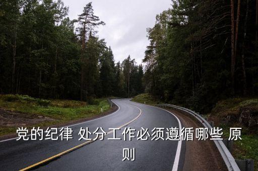黨的紀律 處分工作必須遵循哪些 原則