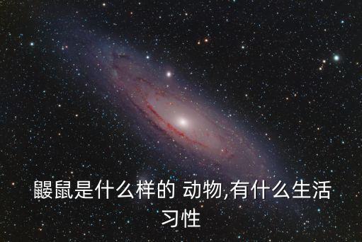 鼴鼠是保護(hù)動(dòng)物嗎,鼴鼠國家二級(jí)保護(hù)動(dòng)物