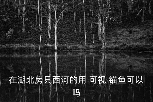 可視錨魚違法嗎,山東可視錨魚違法嗎