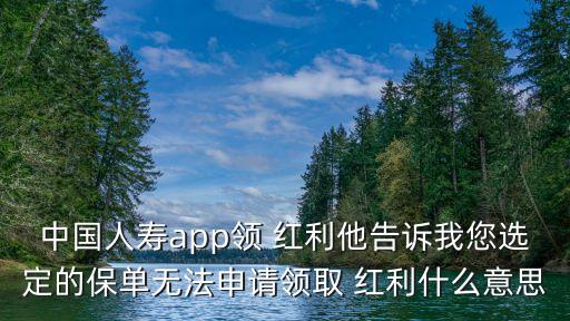 中國(guó)人壽app領(lǐng) 紅利他告訴我您選定的保單無法申請(qǐng)領(lǐng)取 紅利什么意思