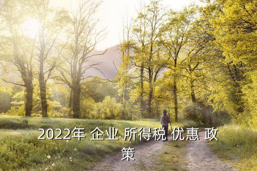 企業(yè)所得稅優(yōu)惠政策