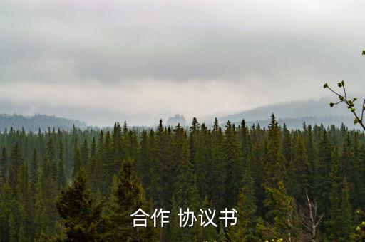  合作 協(xié)議書(shū)