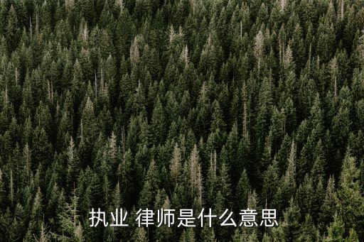 律師執(zhí)業(yè)