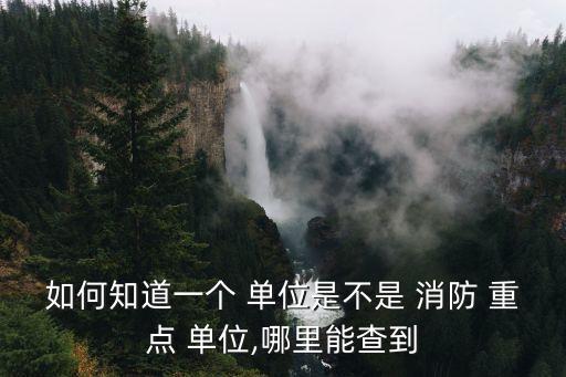 消防安全重點(diǎn)單位