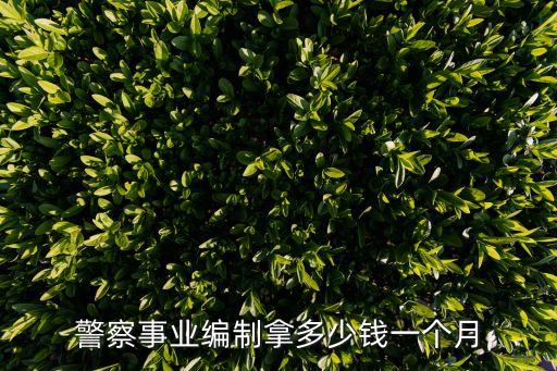 警察事業(yè)編制拿多少錢一個月