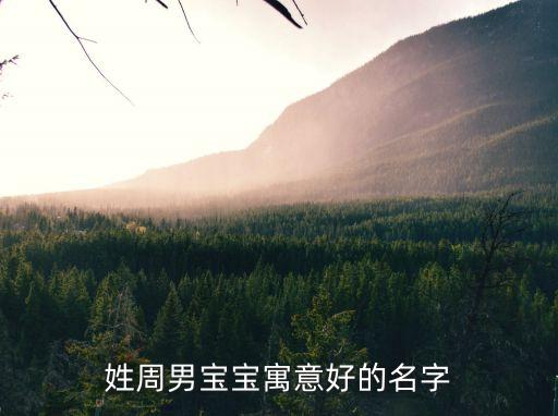 姓周男寶寶寓意好的名字