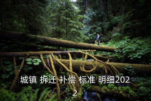 城鎮(zhèn) 拆遷 補(bǔ)償 標(biāo)準(zhǔn) 明細(xì)2022