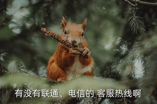 網(wǎng)通客服,網(wǎng)通寬帶客服電話