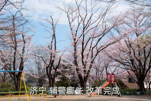 輔警改革最新消息,齊齊哈爾輔警改革最新消息