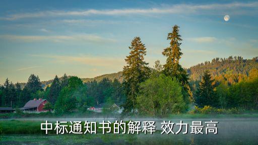招投標(biāo)法與合同法哪個(gè)效力優(yōu)先,合同法和招投標(biāo)法哪個(gè)大