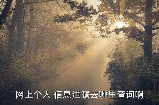 網(wǎng)上個(gè)人 信息泄露去哪里查詢啊