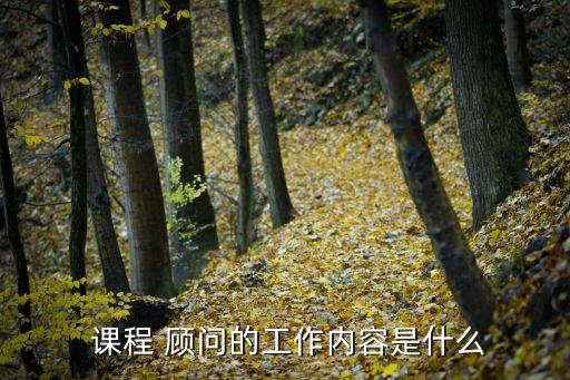 培訓(xùn)機構(gòu)課程顧問