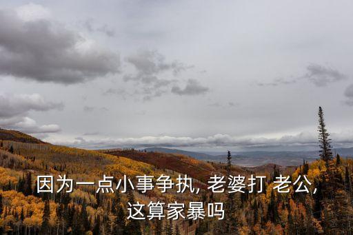 老婆打老公