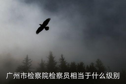 三級(jí)高級(jí)檢察官
