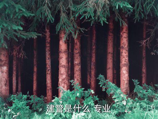 建設(shè)工程管理專(zhuān)業(yè)