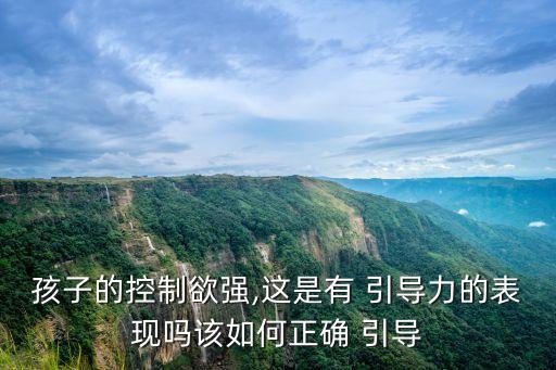 引導(dǎo)力