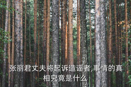  張麗君丈夫?qū)⑵鹪V造謠者,事情的真相究竟是什么