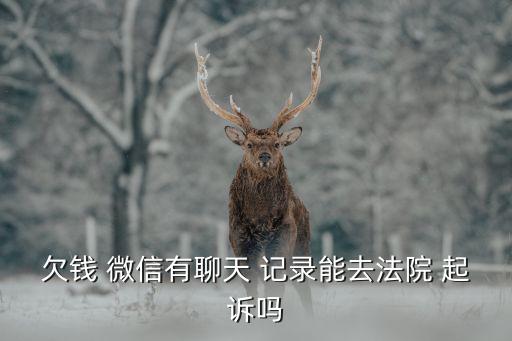 欠錢有微信記錄可以起訴嗎,為了5000元起訴值得嗎