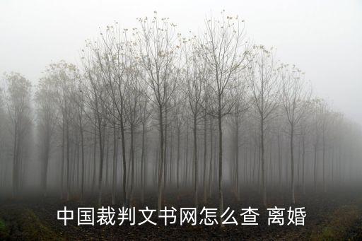 中國裁判文書網(wǎng)怎么查 離婚