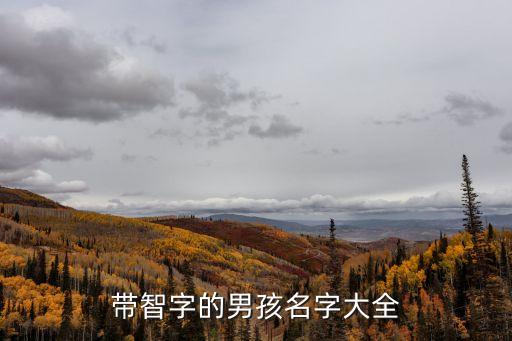 帶智字的男孩名字大全
