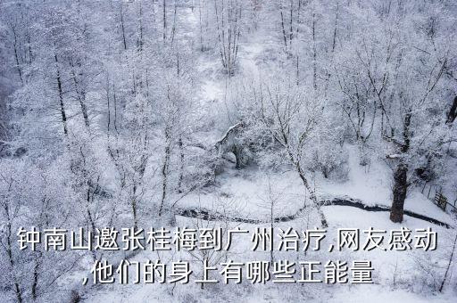 醫(yī)療專家,漳州市有突出貢獻(xiàn)中青年醫(yī)療專家