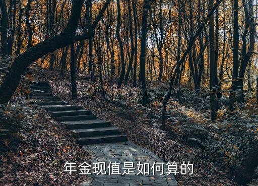 年金系數(shù),年金現(xiàn)值系數(shù)公式